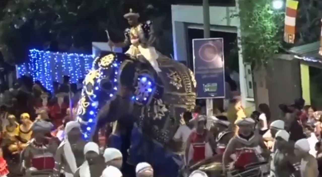 Sri Lanka. Słonie staranowały ludzi podczas religijnej procesji