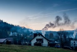 Walka ze smogiem. Straż miejska może nas skontrolować. Czas się przyzwyczaić
