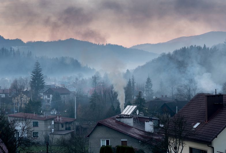 Smog. Sejmowa komisja opowiada się za poprawkami dot. kar za sprzedaż i import kopciuchów