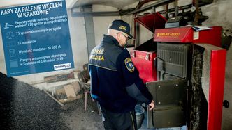 Pierwszy wyrok za palenie węglem. Kolejne gminy chcą ścigać mieszkańców