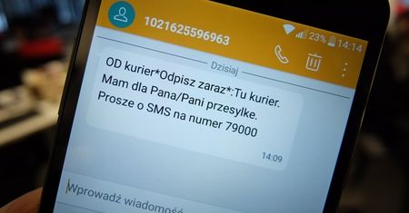 Anna Streżyńska ochroni nas przed drogimi SMS-ami. Będzie miesięczny limit na usługi premium