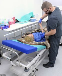 "Widzę ten pasek: Rząd zlikwidował kolejki do szpitali". Internauci kpią z sytuacji w koszalińskim szpitalu