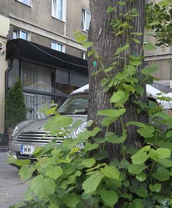 Afera podsłuchowa: politycy PiS wiedzieli, że Falenta ma nagrania ministrów rządu PO-PSL