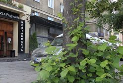 Afera podsłuchowa: politycy PiS wiedzieli, że Falenta ma nagrania ministrów rządu PO-PSL