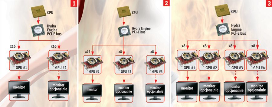 Hydra w akcji