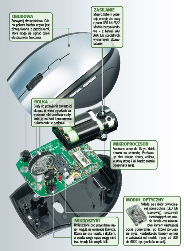 Co piszczy wewnątrz  myszki