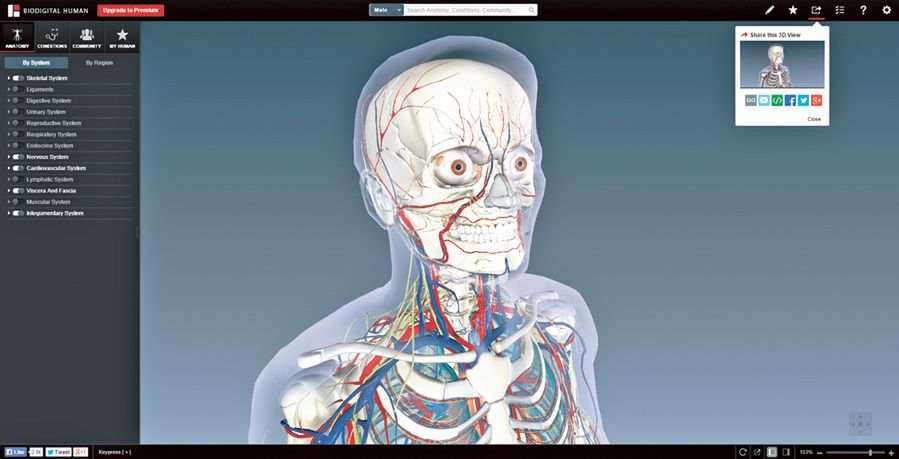 Biodigital Human - Google Earth w ludzkim ciele