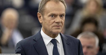 Wybory prezydenckie. Donald Tusk zlecił sondaż. Wyniki nie są satysfakcjonujące dla byłego premiera