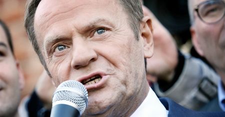 Donald Tusk w Polsce. Wróblewski: "Ostatnia deska ratunku dla opozycji. Cel: mobilizacja" [OPINIA]