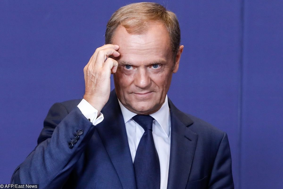 Donald Tusk powinien wrócić do polskiej polityki? Sonda WP