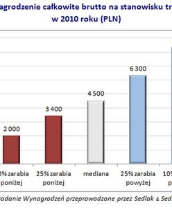 Trener biznesu - zawód o wielu barwach