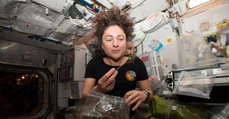 Astronauci hodują rośliny w kosmosie i z nadzieją patrzą w swoje kosmiczne sałatki