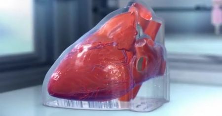 Naukowcy wydrukowali mini serca w 3D. Szykuje się przełom w transplantologii