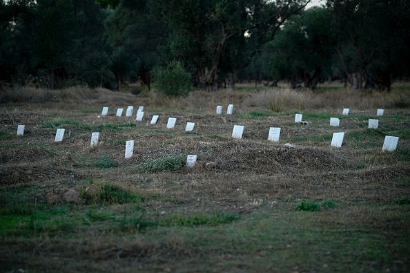 Francja: Pierwszy ekologiczny cmentarz. Będą dominowały tekturowe trumny