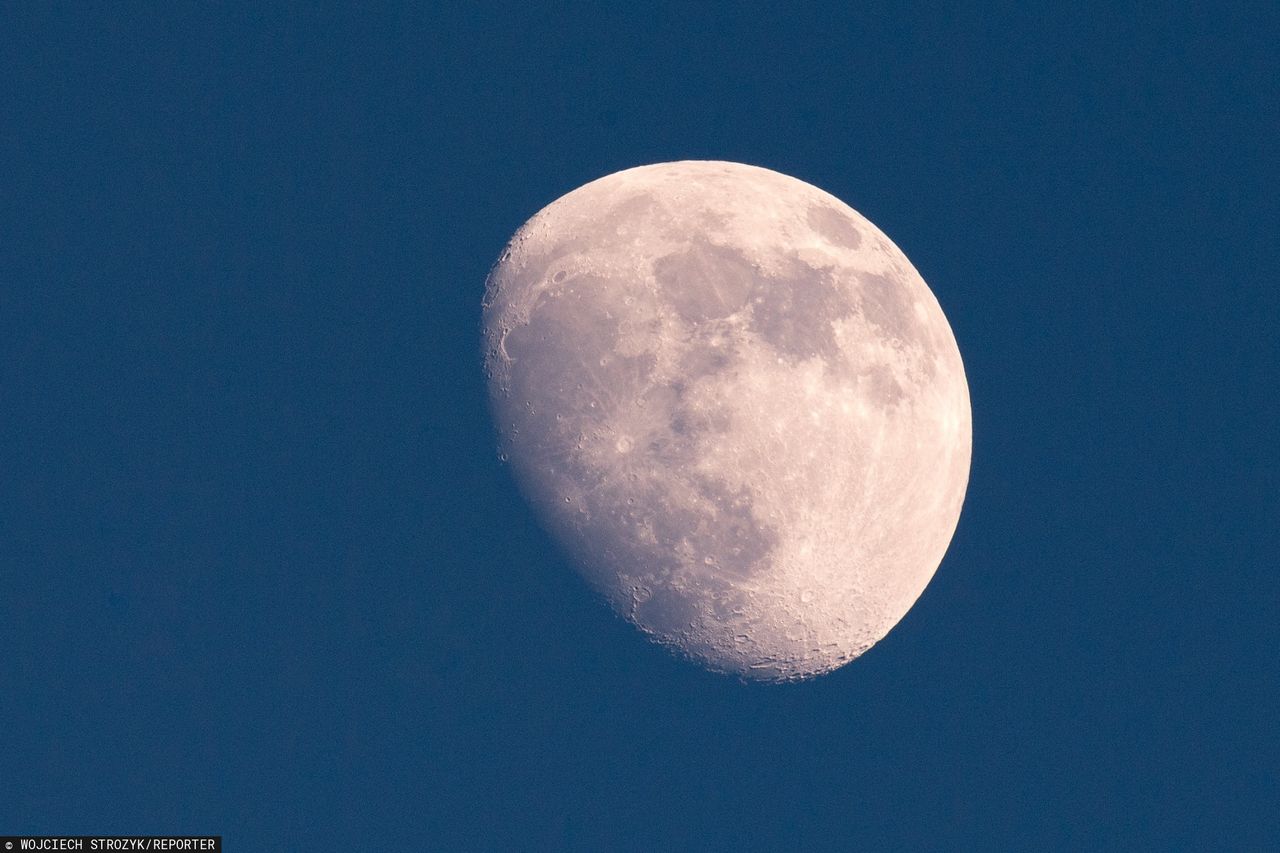 Ziemia ma drugi księżyc. Niesamowite odkrycie polskiego astronoma