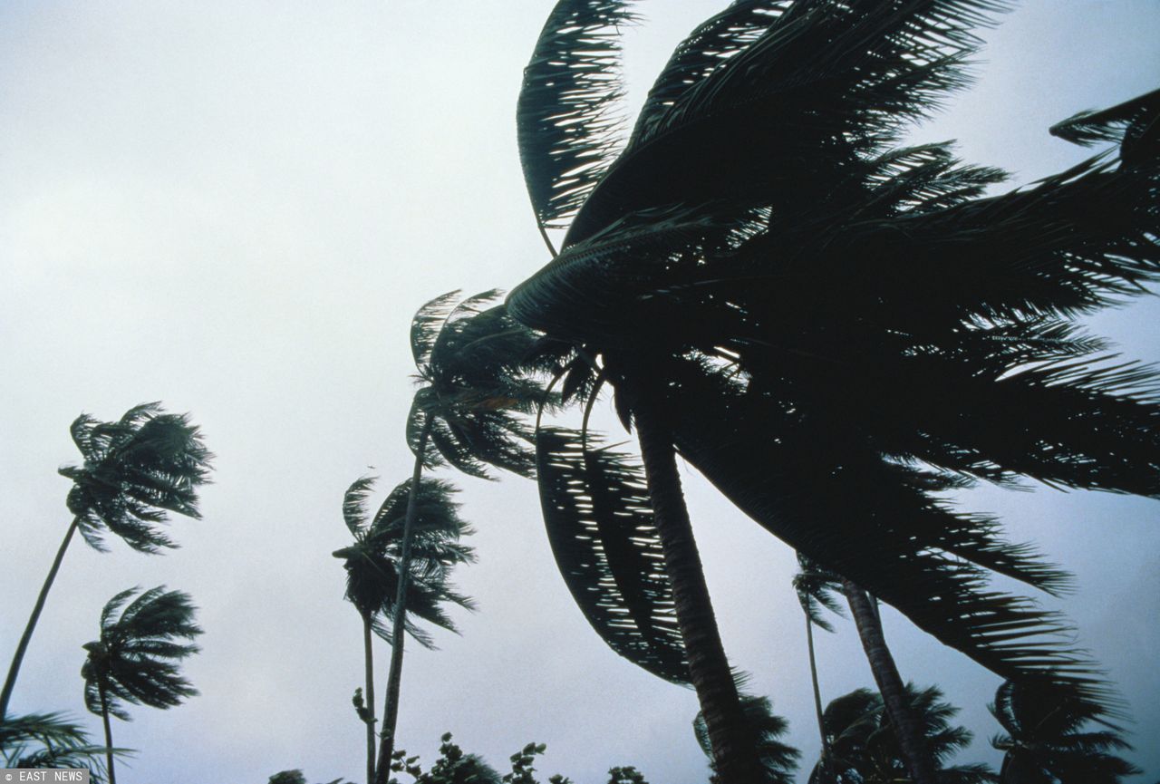 Tajfun Phanfone: Rośnie bilans ofiar śmiertelnych
