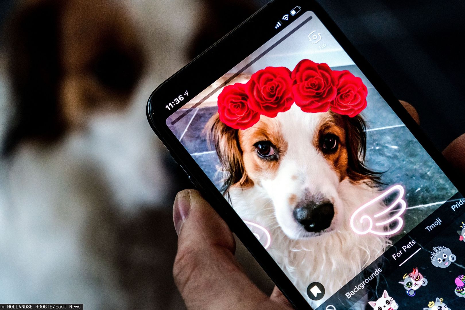 Aplikacja TikTok - kto z niej korzysta?