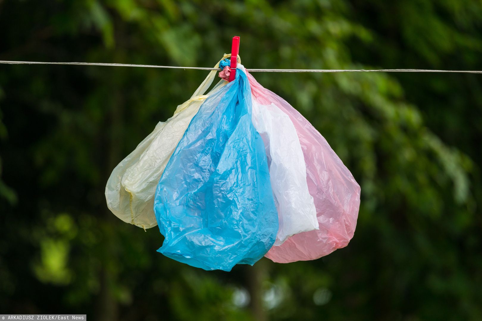 Plastikowe reklamówki są poważnym problemem dla środowiska 