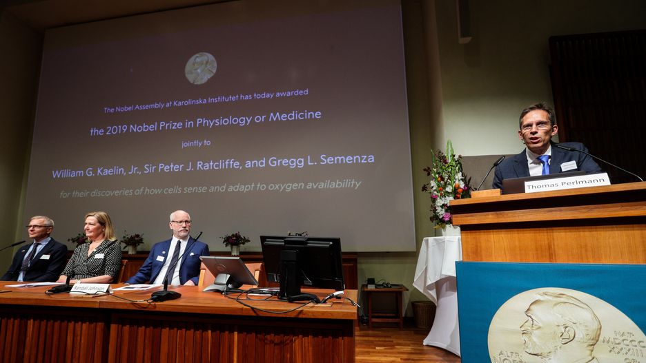 Nagroda Nobla 2019 w dziedzinie medycyny i fizjologii przyznana. 