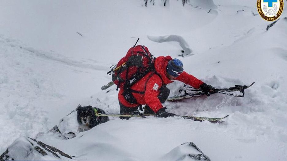 Ratownicy TOPR znów stanęli na wysokości zadania / Zdjęcie ilustracyjne