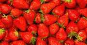 Truskawki chronią przed cukrzycą i chorobami serca