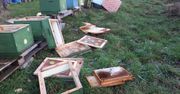 Zdemolowana pasieka pszczół. Załamany właściciel prosi o pomoc