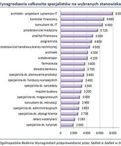 Ile zarabiają polscy specjaliści?