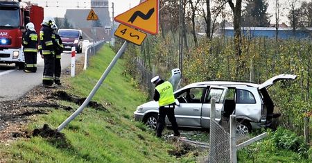 21-latek wpadł do rowu. W aucie jechało 10 osób