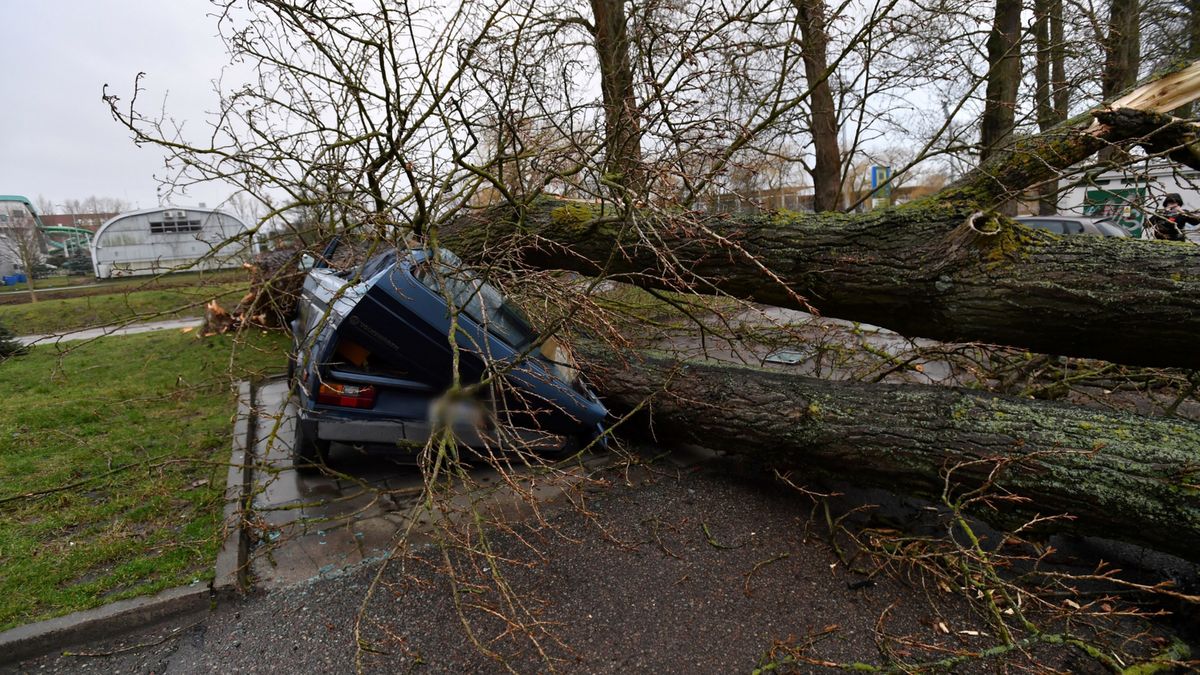 Pogoda. Silny wiatr. Na zdjęciu skutki wichury w Kołobrzegu.