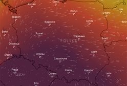 Smog zakryje Polskę. Alert na trzy dni