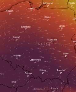 Smog zakryje Polskę. Alert na trzy dni