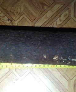 Znaleźli potężny niewybuch. Przynieśli go do domu