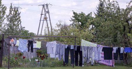 Rzucili korporacje, wyjechali na wieś i... nie udało się