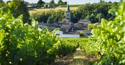 Święto wina czas zacząć! Beaujolais Nouveau i najbardziej szalone tradycje winiarskie na świecie