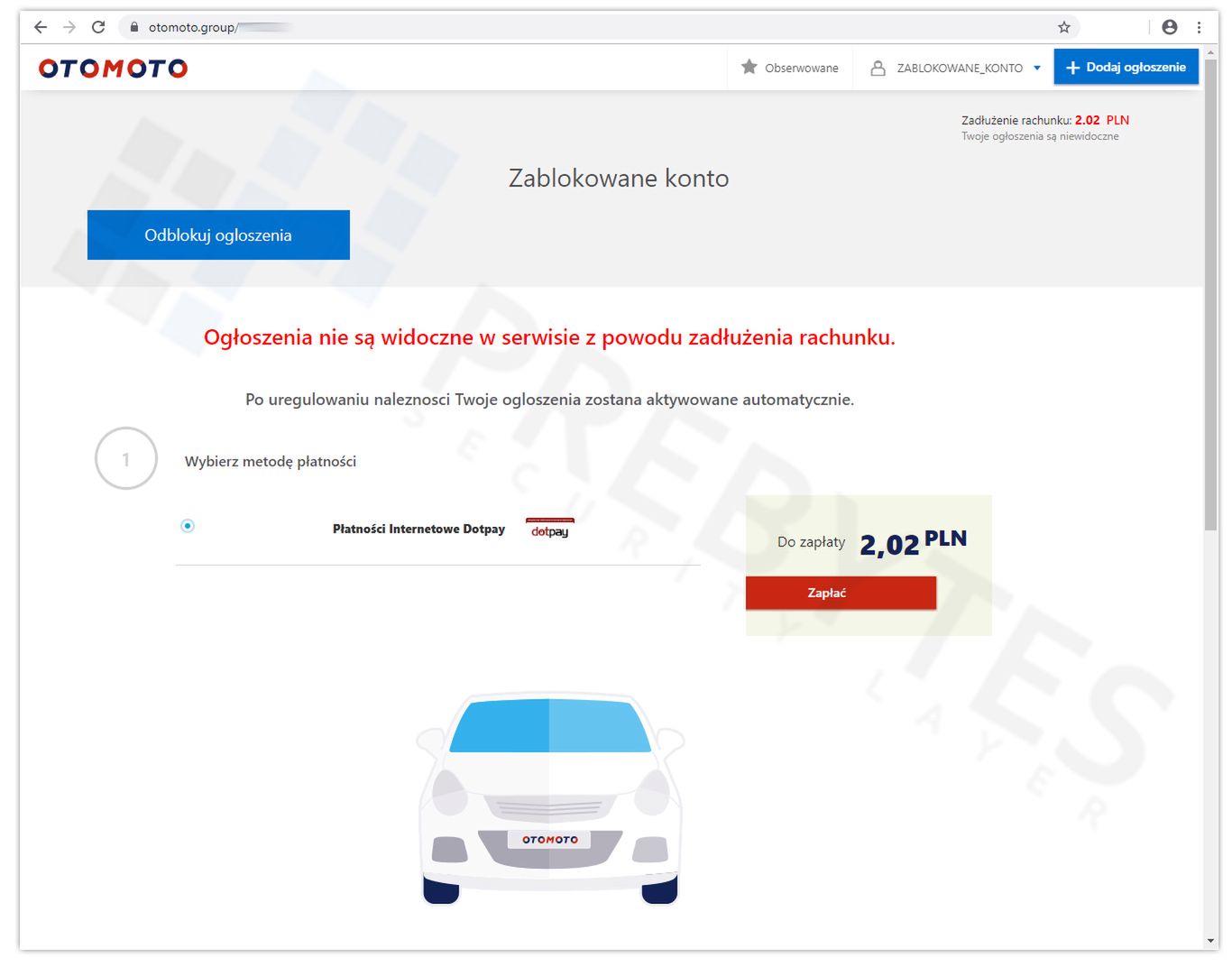 Obraz