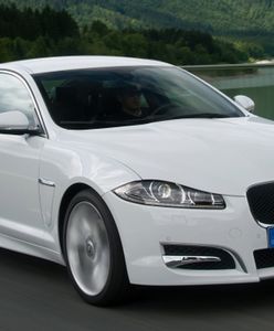 XF nagrodzony po raz kolejny