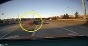Tesla próbowała zabić swojego kierowcę. Autopilot oszalał