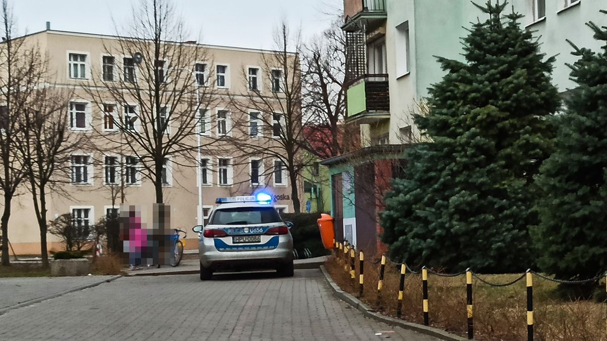 zdjęcie