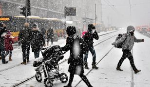 Od takiej zimy odwykliśmy. Silne mrozy nie opuszczą nas szybko