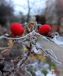 Zima walczy z jesienią. "Śnieg i szadź" - czekamy na Wasze zdjęcia