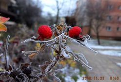 Zima walczy z jesienią. "Śnieg i szadź" - czekamy na Wasze zdjęcia