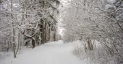 Pierwszy dzień zimy. Różnice między astronomiczną, kalendarzową, a meteorologiczną porą roku