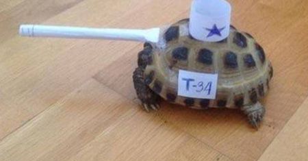 Czasem zdjęcie mówi więcej niż tysiąc słów