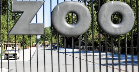 Jak ominąć kolejki do warszawskiego zoo? Teraz bilety kupisz znacznie szybciej