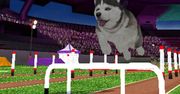 Szykujcie się: 10x Dogz na Natala i tylko 5x na różdżki Sony