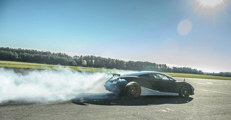 Arrinera Hussarya