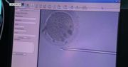 Rządowa agencja pozytywnie zaopiniowała miejski program wsparcia in vitro w Białymstoku
