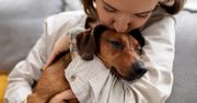 Ta pieszczota jest dla psa prawdziwą torturą! Behawiorystka zdecydowanie to odradza