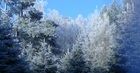 Widok z okna - zdjęcia Internautów