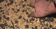 Chciał oszczędzić, dodawał do pieca owies. Po miesiącu “są skutki uboczne”